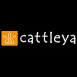 CATTLEYA - Logo